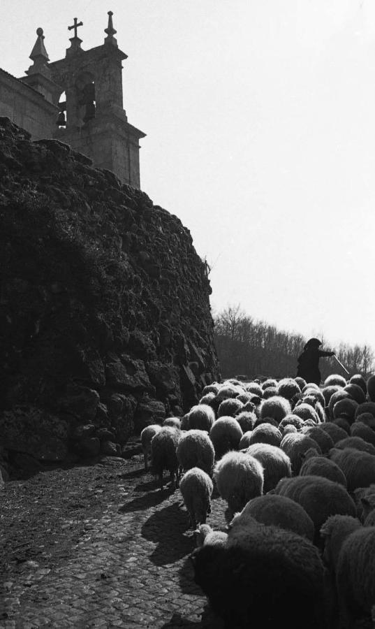 فيلا Pe Na Aldeia Outeiro  المظهر الخارجي الصورة